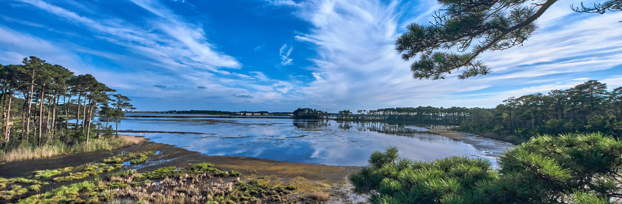 Assawoman Wildlife Area